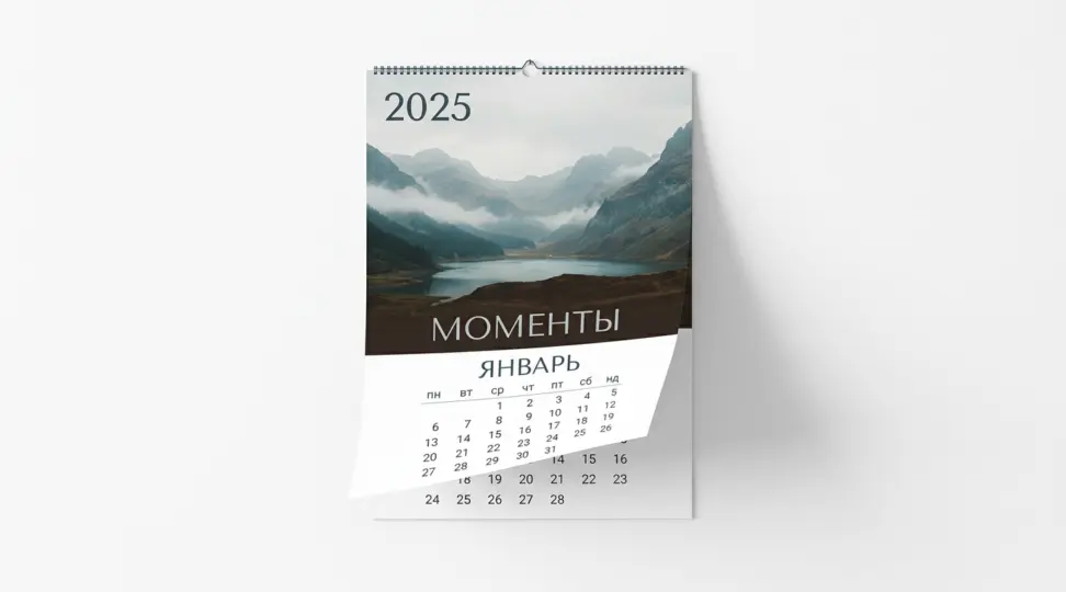  - картинка 4