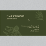  - картинка 8