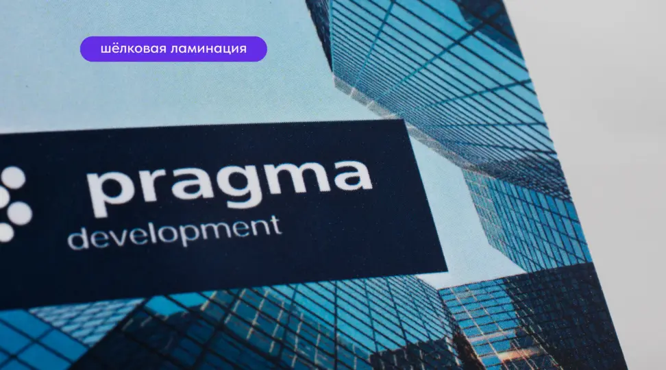  - картинка 2