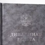  - картинка 11