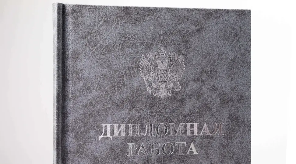  - картинка 5