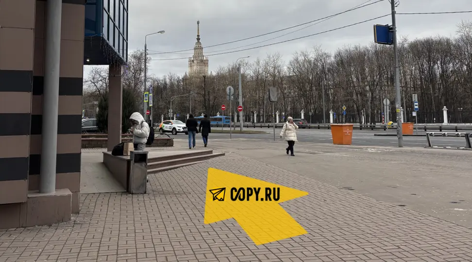 Copy.ru Университет