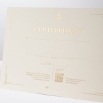  - картинка 10