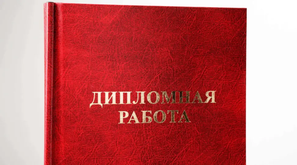  - картинка 2