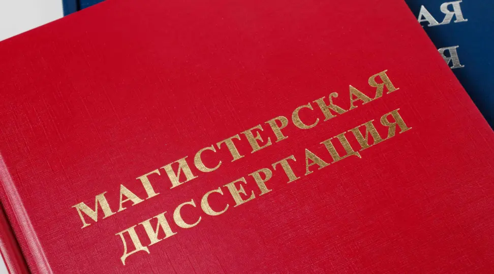  - картинка 6