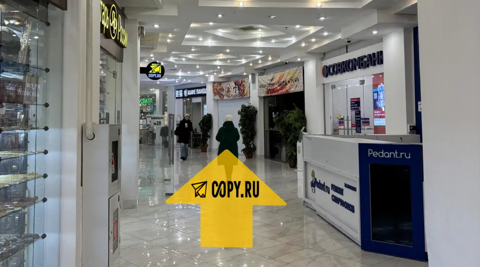 Copy.ru Университет