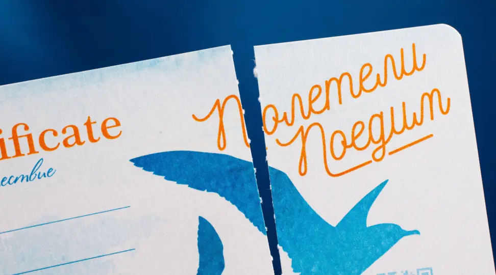 Сертификат - картинка 4