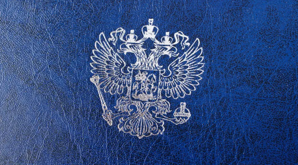  - картинка 3