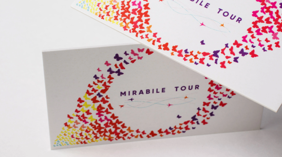  - картинка 6