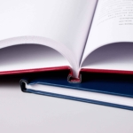  - картинка 12