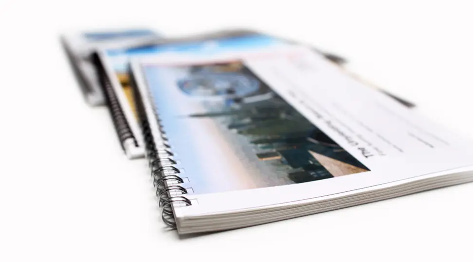  - картинка 1