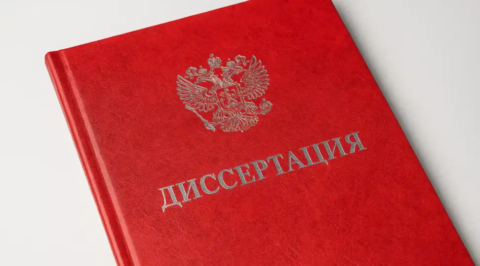  - картинка 3