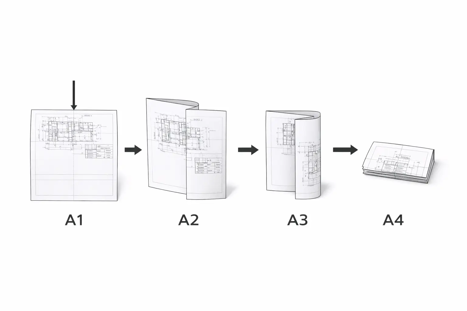 ChatGPT Image 11 февр. 2026 г., 12_36_01