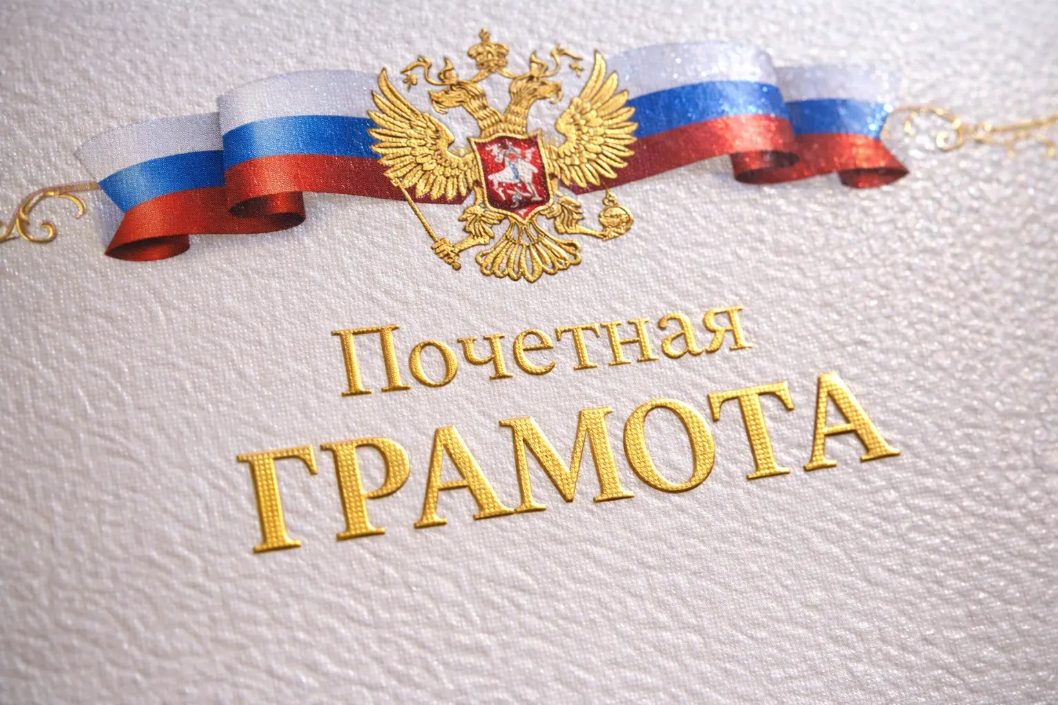 ChatGPT Image 16 февр. 2026 г., 18_10_04