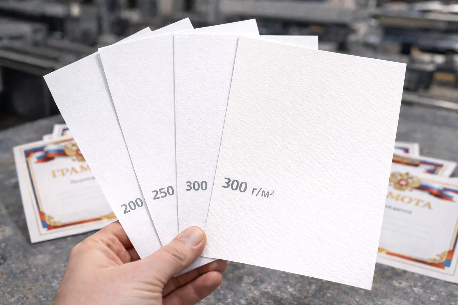 ChatGPT Image 16 февр. 2026 г., 18_10_11