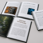  - картинка 9