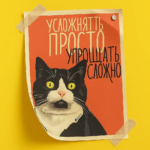  - картинка 7