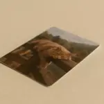  - картинка 8