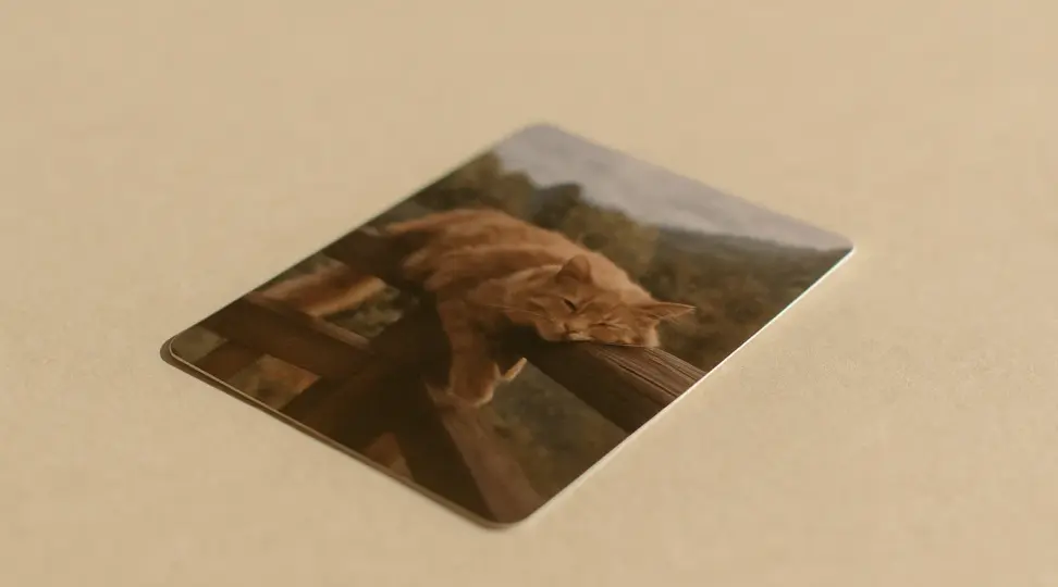  - картинка 3