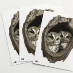  - картинка 7