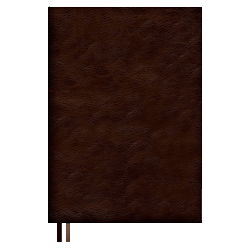 ежедневник в Copy.ru