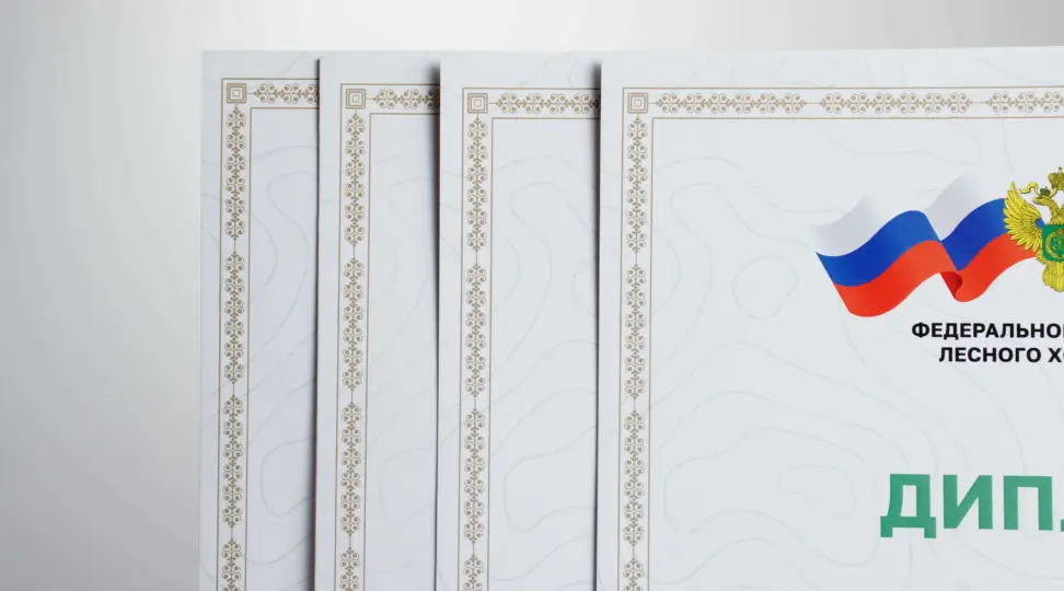  - картинка 3