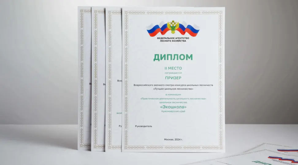  - картинка 2