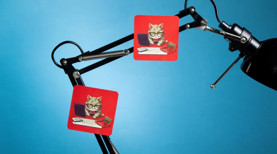 Виниловый магнит - картинка 2