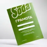  - картинка 7