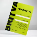  - картинка 6