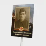  - картинка 9