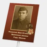  - картинка 11