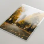  - картинка 7