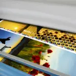  - картинка 3