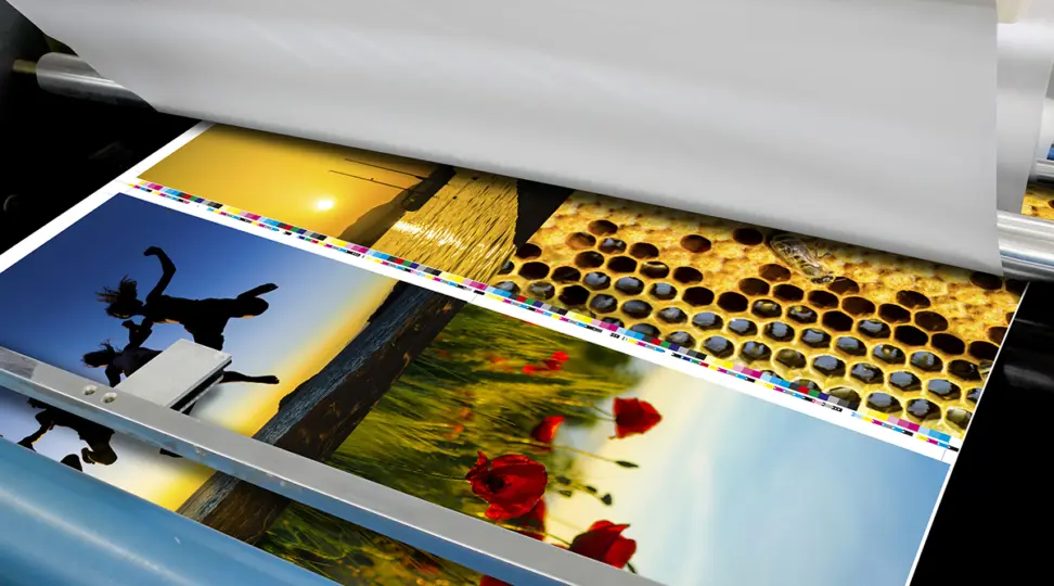  - картинка 1