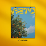  - картинка 12