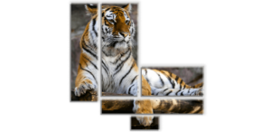 Модульные картины в Copy.ru