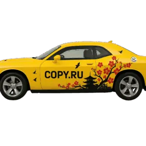 Наклейки на авто в Copy.ru