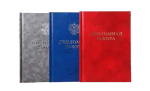 Печать и переплёт дипломных работ