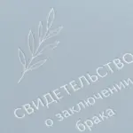  - картинка 10