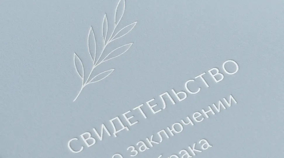  - картинка 4