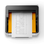  - картинка 10