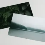  - картинка 12