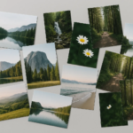  - картинка 11