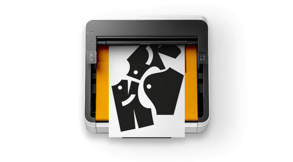 - картинка 2