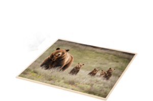 Печать на изделиях из фанеры в Copy.ru