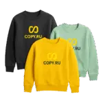 pechat-na-svitshotakh-copy-ru