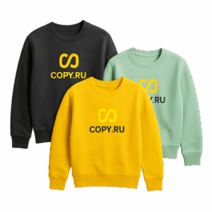 pechat-na-svitshotakh-copy-ru