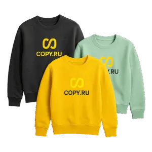 pechat-na-svitshotakh-copy-ru