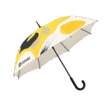 pechat-na-zontakh-copy-ru